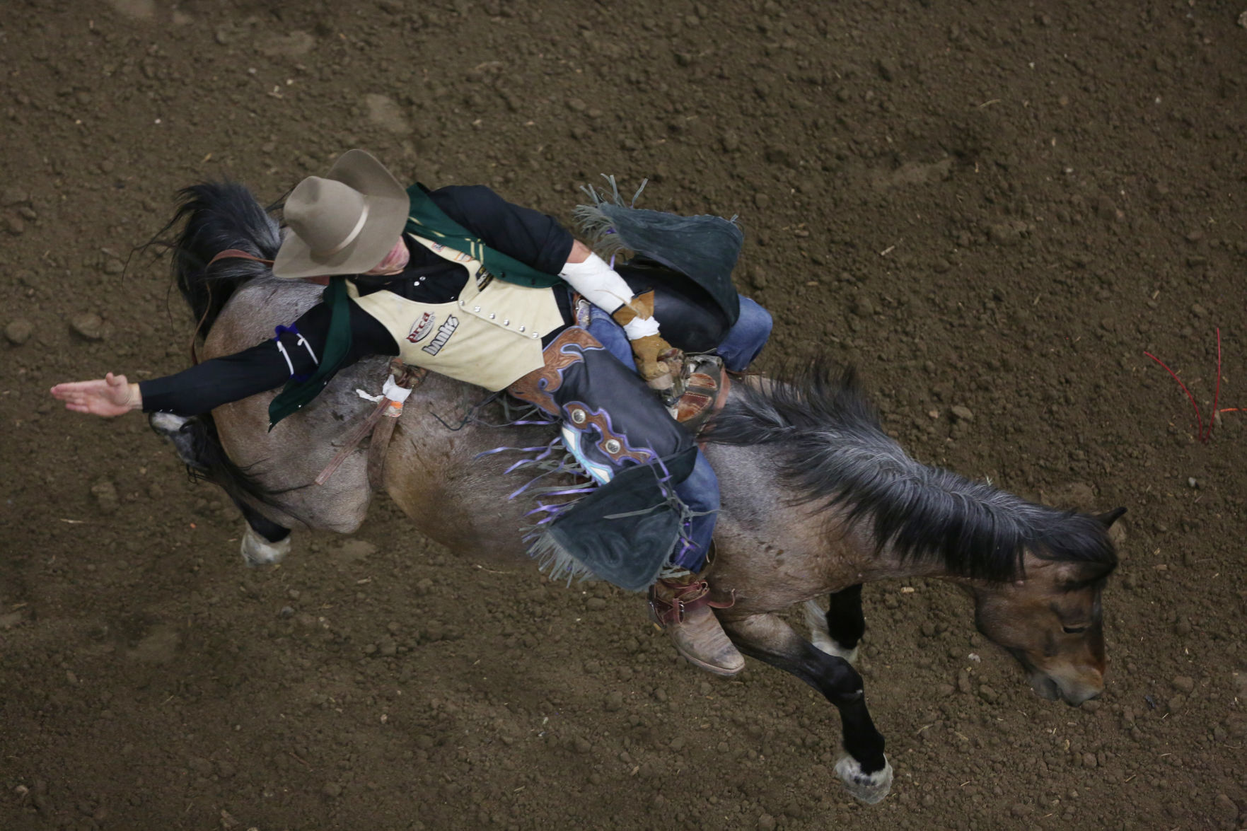 CNFR